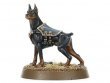 Elucidian Starstriders (предзаказ 2025, Warhammer 40k, Imperial Agents)