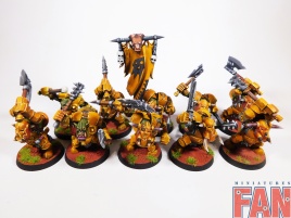 Warhammer Age Of Sigmar Orruk Ardboys x10 (Pro-Painted)