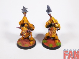 Warhammer Age Of Sigmar Orruk Ardboys x10 (Pro-Painted)