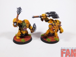 Warhammer Age Of Sigmar Orruk Ardboys x10 (Pro-Painted)