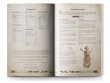 Warhammer: The Old World - Ravening Hordes (The Old World)