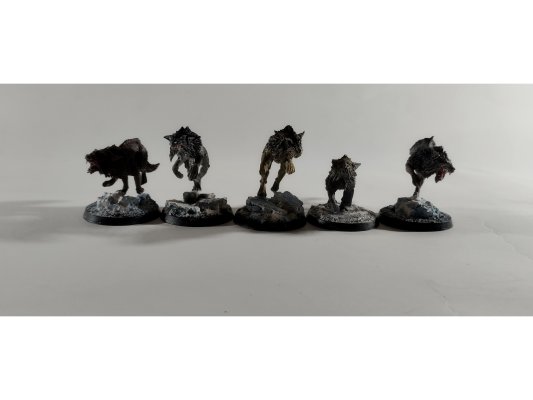 Space Wolves Fenrisian Wolves x5 (б/у, Painted)