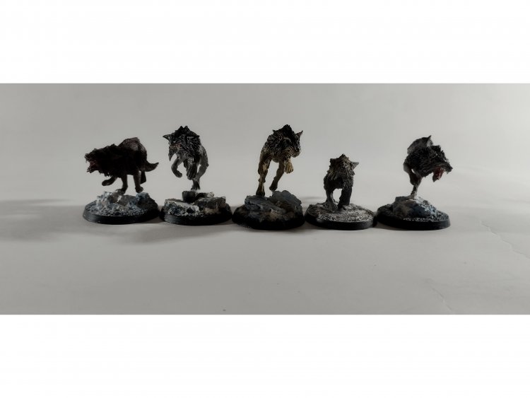 Space Wolves Fenrisian Wolves x5 (б/у, Painted)