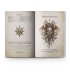 Arcane Journal: Warriors of Chaos (предзаказ 2025)