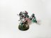 Warhammer 40k Series 3 Death Guard Plague Marine with Flail (Pro-Painted)