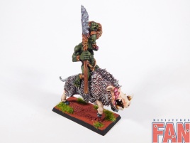 Warhammer Age Of Sigmar Savage Boarboys / Maniaks x5 (Pro-Painted)