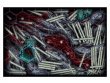 Warhammer Underworlds: Wyrdhollow (ENG) (Warhammer Underworlds)
