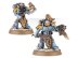 Grey Hunters (Space Wolves, Warhammer 40k)