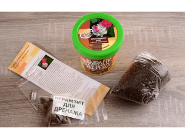 Вырасти дерево: Сумасшедшая роза