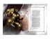 Warhammer Age of Sigmar Core Book 2018