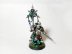 Warhammer 40k Death Guard Plague Marine Icon Bearer (Pro-Painted)