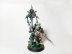 Warhammer 40k Death Guard Plague Marine Icon Bearer (Pro-Painted)