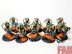 Warhammer 40k Necron Warriors x10 (Painted)