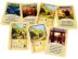 Колонизаторы Catan: Купцы и варвары