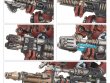 Thallax Cohort