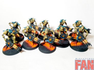 Warhammer 40k Necron Warriors  (Pro-Painted)