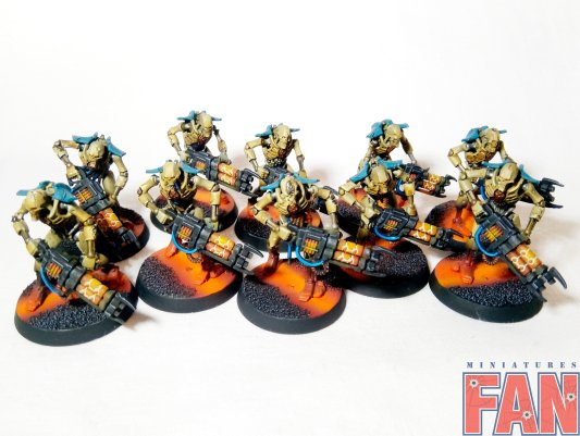 Warhammer 40k Necron Warriors  (Pro-Painted)
