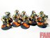 Warhammer 40k Necron Warriors  (Pro-Painted)