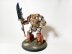Warhammer 30k / 40k FW Legio Custodes Contemptor Achillus Dreadnought (Pro-Painted)
