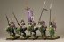Warhammer Fantasy Dark Elf Cold One Knights x5 (Painted)