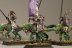 Warhammer Fantasy Dark Elf Cold One Knights x5 (Painted)