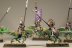 Warhammer Fantasy Dark Elf Cold One Knights x5 (Painted)