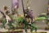 Warhammer Fantasy Dark Elf Cold One Knights x5 (Painted)