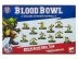 Blood Bowl: Goblin Team - The Scarcrag Snivellers