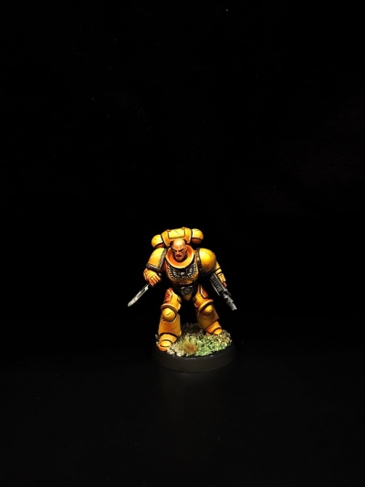 Warhammer 40k Space Marine Imperial Fists Sergeant (Pro-Painted)