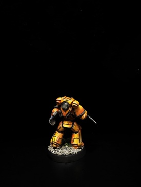Warhammer 40k Space Marine Imperial Fists Sergeant (Pro-Painted)