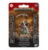 Rotbringer Sorcerer (предзаказ 2024)