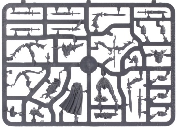 High Elves Shadow Warriors/Sisters of Avelorn