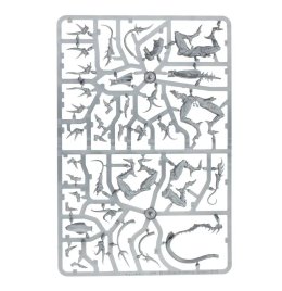 Fiends of Slaanesh 2019 (предзаказ 2025, GW Direct)