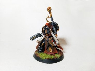 Warhammer 40k Space Marine Primaris Chaplain (Pro-Painted)