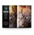 Warcry: Harbingers of Destruction (RUS)