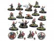 Gnome Team: Glimdwarrow Groundhogs (Blood Bowl)