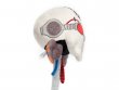 TOMY: Servo-skull Plush (GW Direct, предзаказ 2024)
