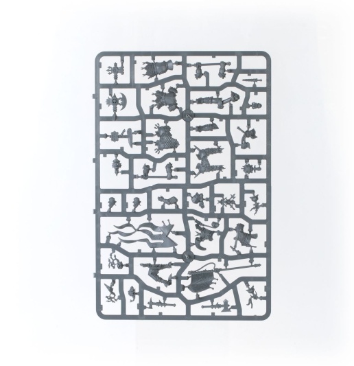 Cities of Sigmar Battleforce: Founding Foray