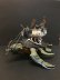 Warhammer Age of Sigmar Idoneth Deepkin Akhelian Leviadon x1 (99120219009) (Painted)