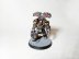 Warhammer 30k / 40k Iron Warriors Legion Tyrant Siege Terminators x5 (Pro-Painted)