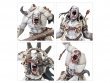 Gorger Mawpack (Warcry)