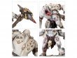 Gorger Mawpack (Warcry)