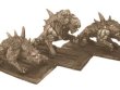 GZ_01-40cm.JPG