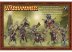 Beastmen Bestigor Herd BOX 2010