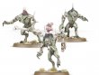 Flesh-eater Courts Battleforce: Charnelgrand Jury