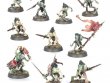 Flesh-eater Courts Battleforce: Charnelgrand Jury