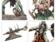 Flesh-eater Courts Battleforce: Charnelgrand Jury