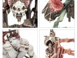 Flesh-eater Courts Battleforce: Charnelgrand Jury