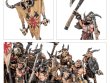 Beastmen Brayherds Battalion (предзаказ 2025)