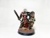 Warhammer 40k Black Templars Space Marine Indomitus Primaris Captain (Pro-Painted)